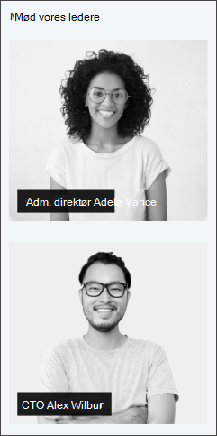 Billede af webdelen personprofiler på webstedsskabelonen for ledelsen