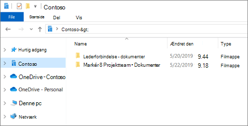 Skærmbillede, der viser synkroniseringsmapper til OneDrive og websteder.