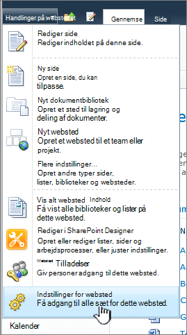 Indstillinger for websted i menuen Webstedshandlinger