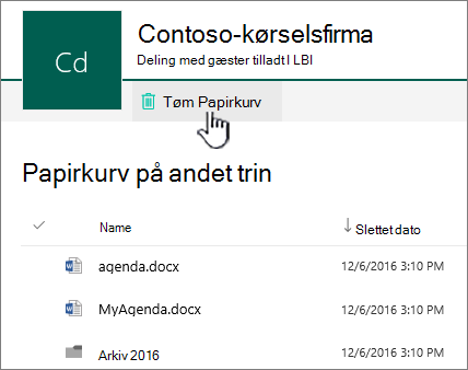 Papirkurv på andet niveau i SharePoint Online med knappen Tøm Papirkurv fremhævet