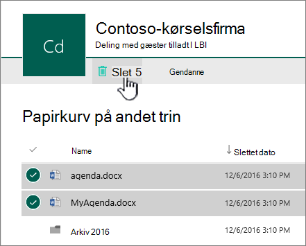 Papirkurv på andet niveau i SharePoint Online med knappen Slet fremhævet
