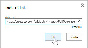Dialogboksen Link med webadresse og knappen OK fremhævet