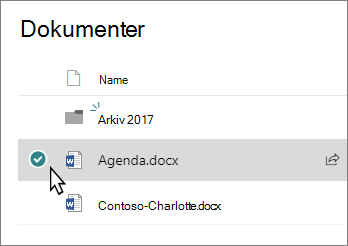 Skærmbillede af et bibliotek med en fil markeret
