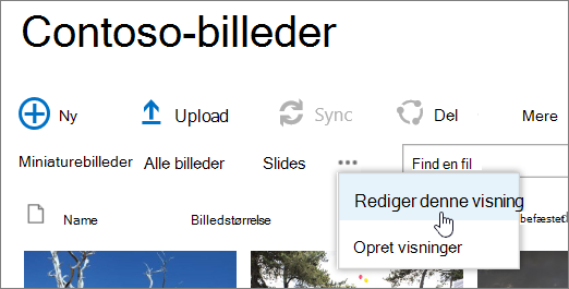 Visningslinjen Billedbibliotek med Rediger visning markeret