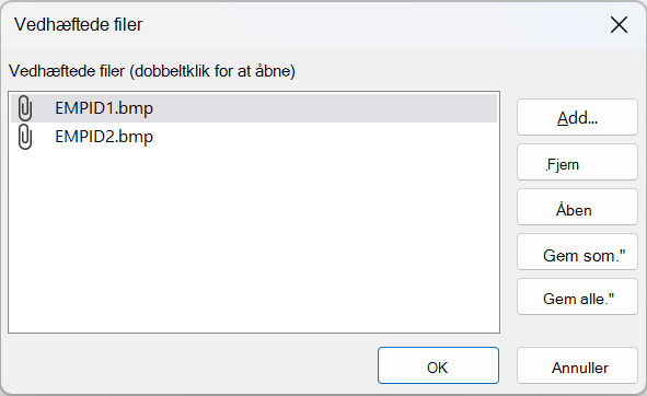 Dialogboksen Vedhæftede filer i Access viser to BMP-filer.