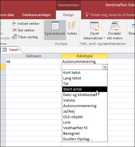 Skærmbillede af datatypelisten i en Access-tabel. Stort tal er markeret.