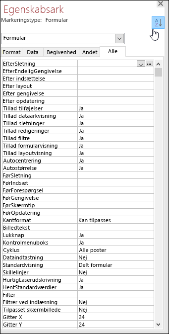 Skærmbillede af egenskabsark i Access med egenskaber sorteret alfabetisk