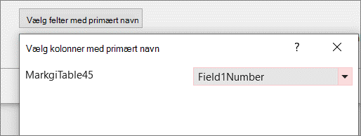 Valg af et bestemt primært navnefelt