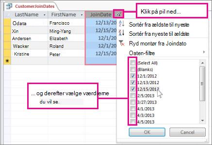 Filtrering af en forespørgselskolonne i en skrivebordsdatabase.
