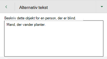 Dialogboksen Alternativ tekst i Excel til Android.