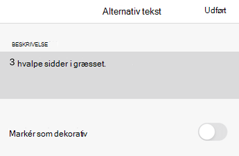 Dialogboksen Alternativ tekst i Excel til iOS.