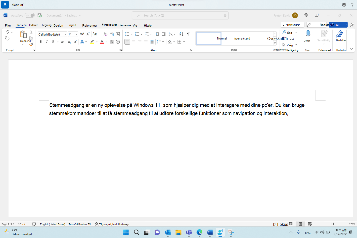 Word dokument, der viser stemmeadgangskommandoen Slet det.