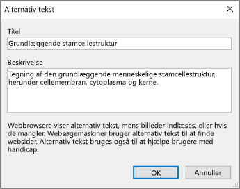 Skærmbillede af dialogboksen Alternativ tekst i OneNote med teksteksempler i felterne Titel og Beskrivelse.