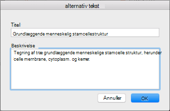 Dialogboksen Alternativ tekst til OneNote på Mac.