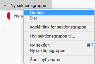 Omdøb en sektionsgruppe i OneNote til Mac