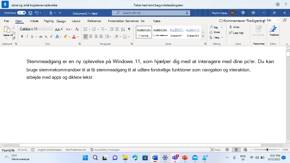 Word dokument, der viser stemmeadgangskommandoen Stort begyndelsesbogstav.