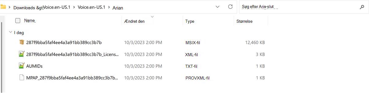 Skærmbillede af mappe, der er pakket ud af talepakken.