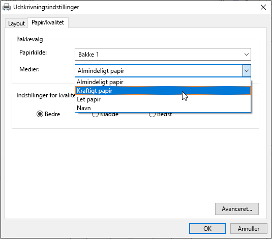 Indstillinger for udskrivningsdialogboks i Windows-systemet