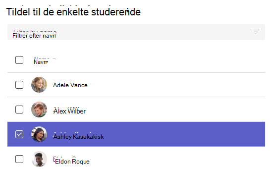 Skærmbillede af tildeling til individuelle studerende.