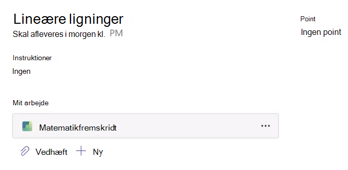 Skærmbillede af opgave.