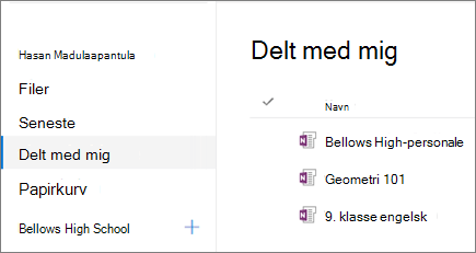 Skærmbillede af notesbognavne.