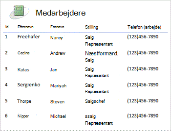 Medarbejderne rapporterer i et tabulært layout