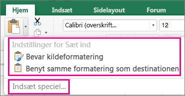 Menuen Indsæt, som viser indstillinger og Indsæt speciel