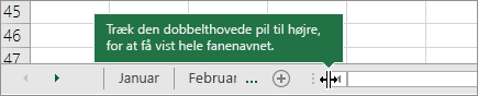 Træk den dobbelthovede pil mod højre for at få vist en eller flere faner