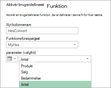 Dialogboksen Aktivér brugerdefineret funktion