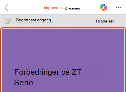 Skærmbillede af en forretningslinje med en meddelelse om begrænset adgang og knappen Tilladelser.