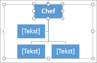 Skriv i et felt i en SmartArt-grafik