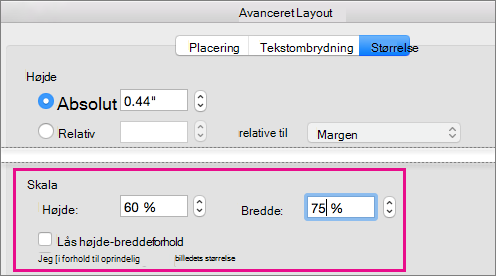 På fanen Størrelse i boksen Avanceret Layout er Skalaindstillinger fremhævet.