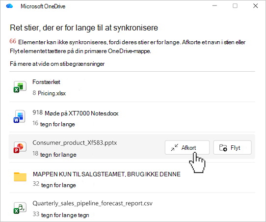 Skærmbillede, der viser listen over OneDrive-filstier.