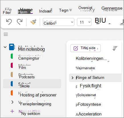 Skærmbillede af grundlæggende opgaver eight.png
