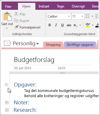 Skærmbillede af hvordan du skjuler en disposition i OneNote 2016.