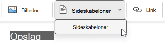 Sideskabeloner, der findes under fanen Indsæt