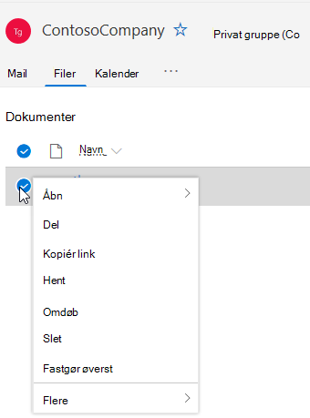 Viser indstillingerne Slet og Omdøb fil