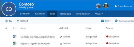 Klik på Files i din Office 365 gruppe for at få vist listen over filer og mapper, der er gemt i din gruppe