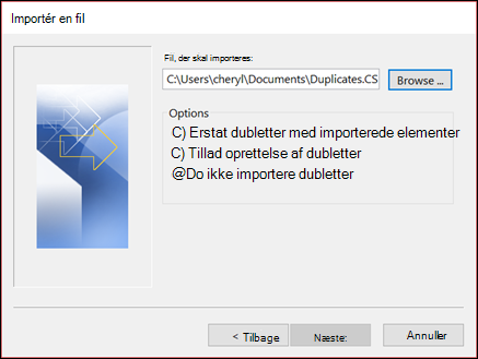 Vælg den fil, der skal importeres.