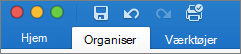 fanen Organiser