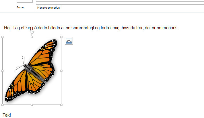 Billedet er nu i din meddelelse.