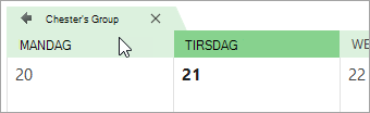 Et skærmbillede af en gruppekalender i kalendervisningen
