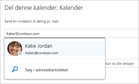 Et skærmbillede af dialogboksen 