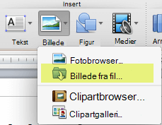 Klik på Billede > af billede fra fil under Indsæt på fanen Hjem på båndet.