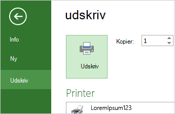 Knappen Udskriv og udskrivningsindstillinger i Backstage