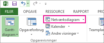 Klik på Netværksdiagram for at åbne netværksdiagramvisningen.