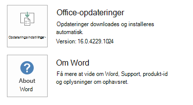 Skærmbillede af opdateringsindstillingerne i Word.
