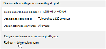 Menuen Viderestilling af opkald Link til stedfortræder