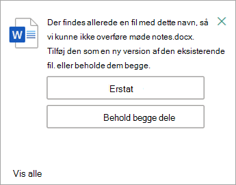 Du har mulighed for at erstatte eller beholde begge kopier af den fil, du uploader.