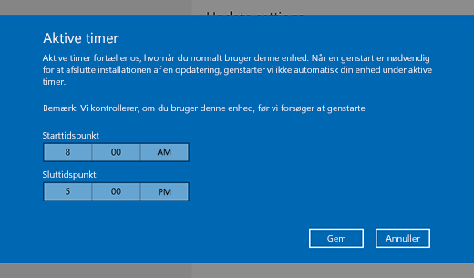 Screenshot of dialog window for changing active hours